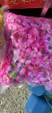 Hoa Đào Trang Trí